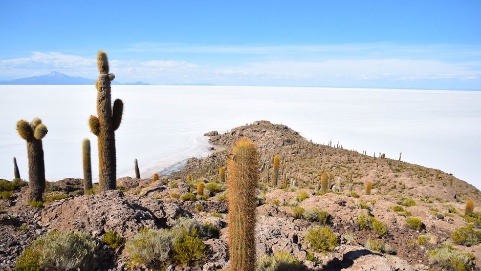 Pustynia Uyuni widziana z z wyspy Inahuasca