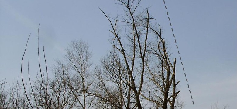 Katowicki IPN wydał kalendarz ze zdjęciami z Katynia i Smoleńska