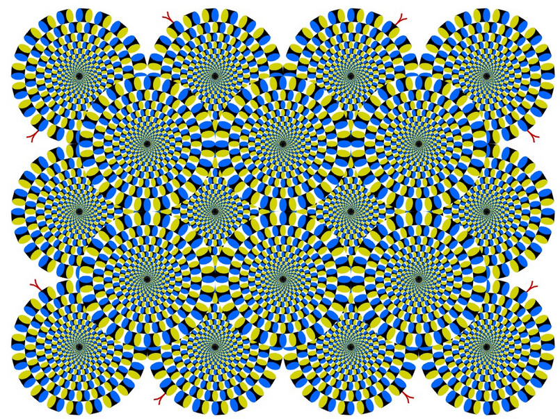 Iluzja optyczna "rotating snakes"