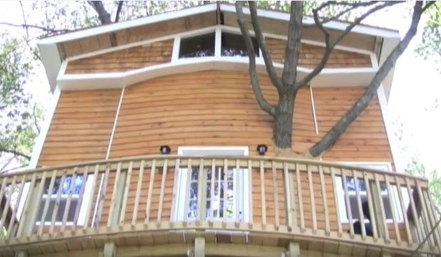 676030_kucica-na-drvetu-foto-youtube.the-sun-chronicle-1