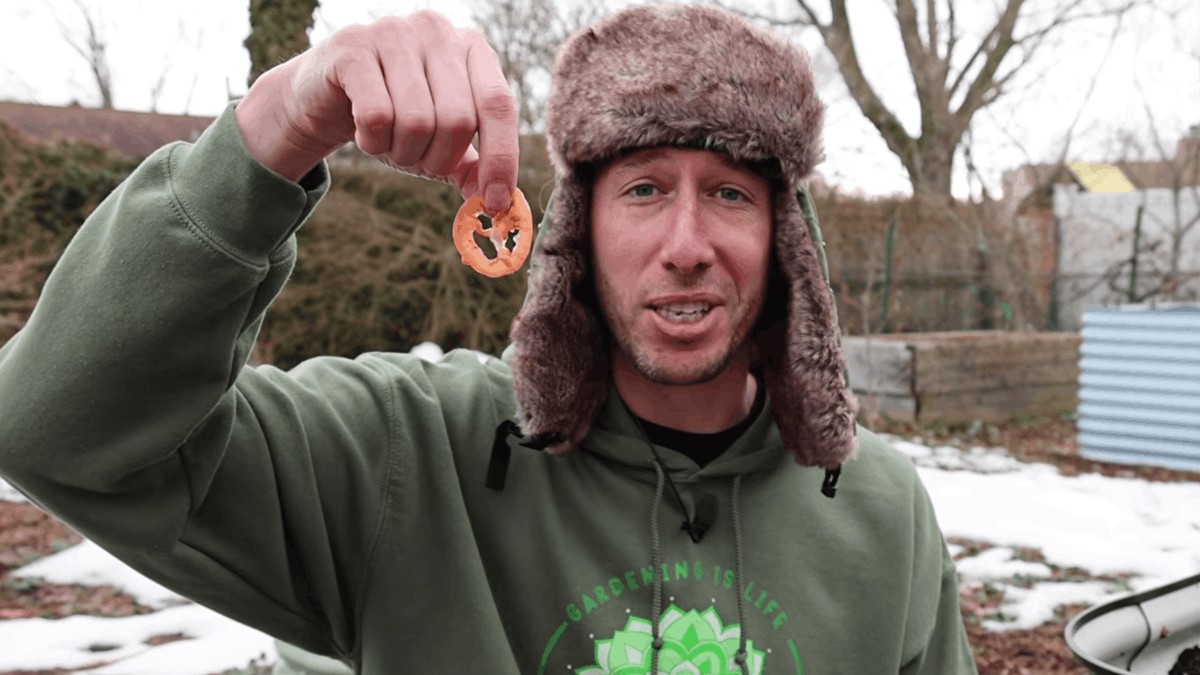 Zasadio paradajz iz hamburgera i ostao zaprepašćen kad je video šta je izraslo