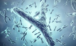 Poznano sekwencję męskiego chromosomu. To kluczowe informacje na temat płodności, rozwoju raka