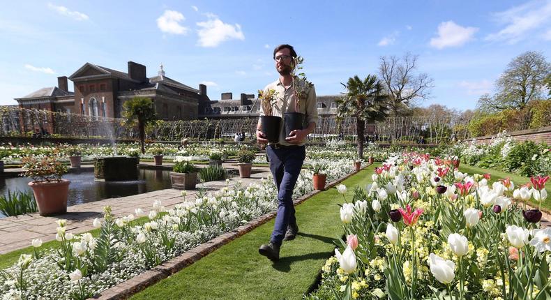 Head gardener Sean Harkin said that his idea for the garden, which has been in planning for the past 18 months, came through talking to gardeners who used to work at at the Palace.