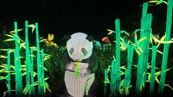 Spotkacie na wystawie pandę wielką