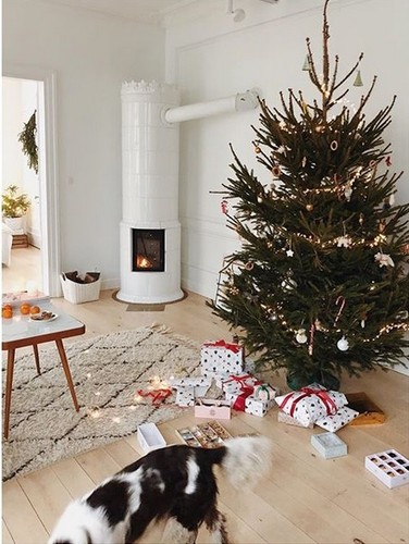 Mieszkanie Kasi Tusk