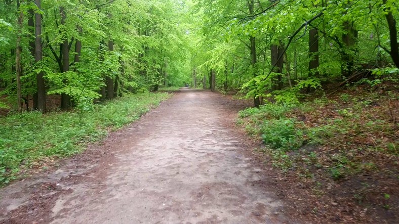 Trójmiejski Park Krajobrazowy. To tutaj Daria trenowała bieganie