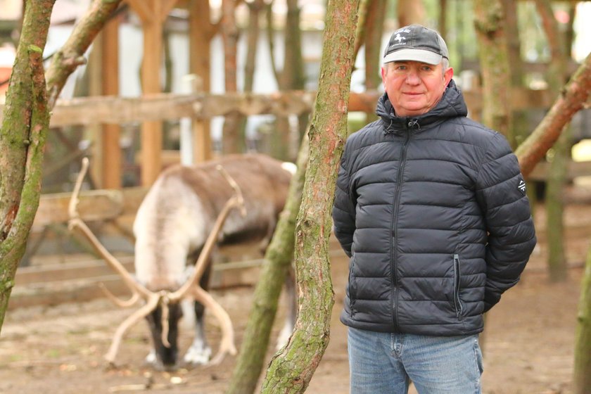 Renifer Rudolf zamieszkał na Ranczu Arka pod Lublinem