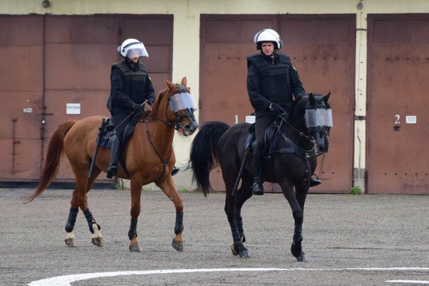 Konie w policji