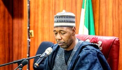 Borno govt. releases N50m bursary to Ramat Poly students