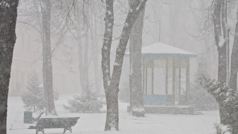 Van olyan, ahol 15 centi hó is esett. / Fotó: Northfoto