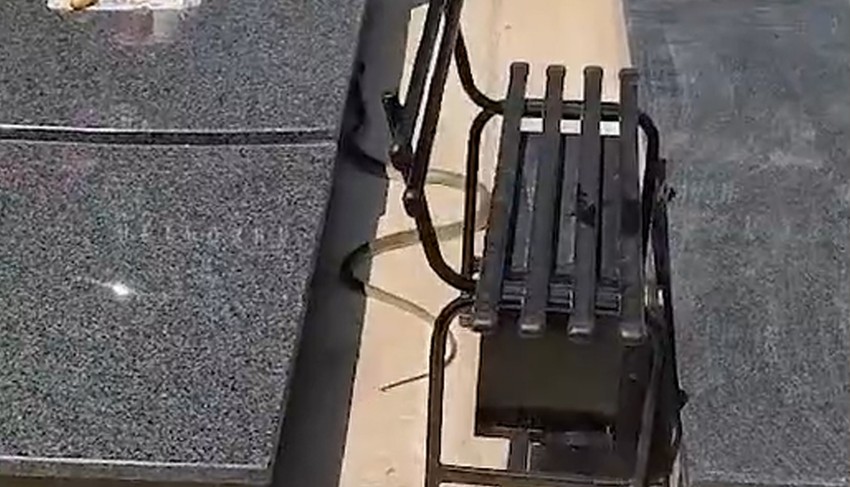 Zmija na bezanijskom groblju