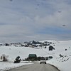 Zlatibor