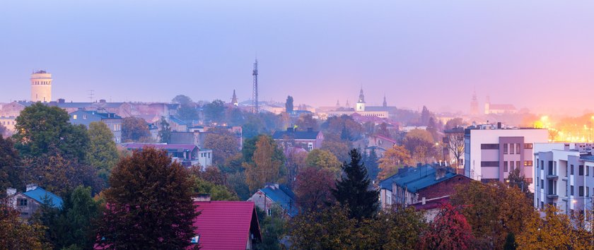 Prezydent zawierzył Piotrków Trybunalski... Niepokalanemu Sercu Maryi Królowej Polski