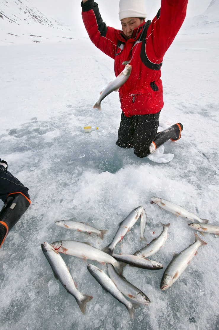 Pripadnik inuitskog plemena peca ribe na tradicionalan način