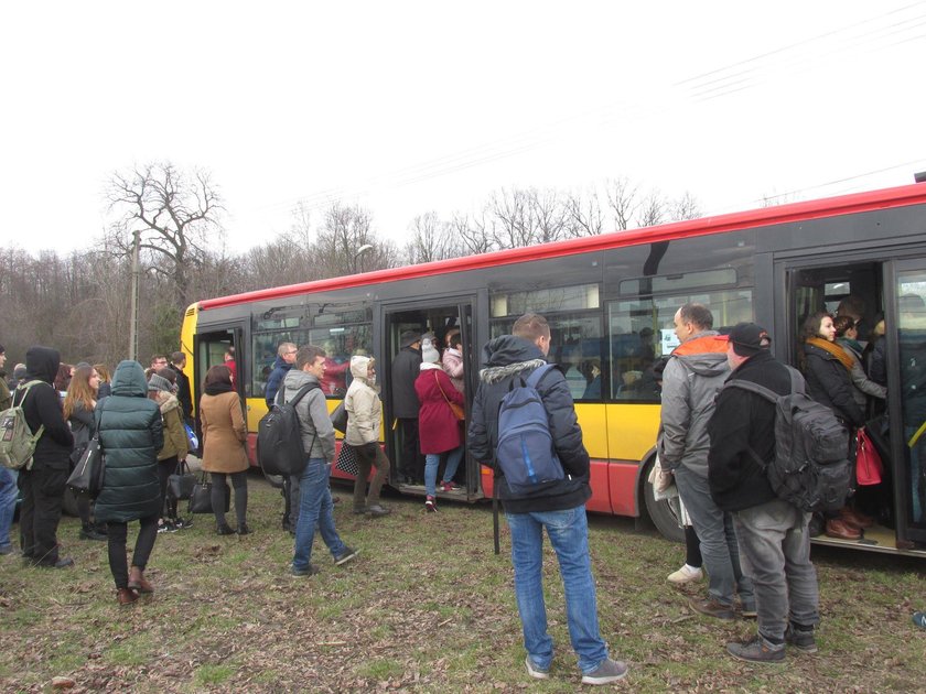 Zerwana trakcja i bałagan w Kolejach Śląskich