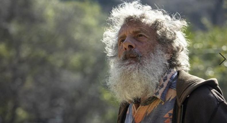 Meet the scientist who’s been counting California butterflies for 47 years