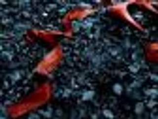 S.J.Bolton 'Ulubione rzeczy' - recenzja