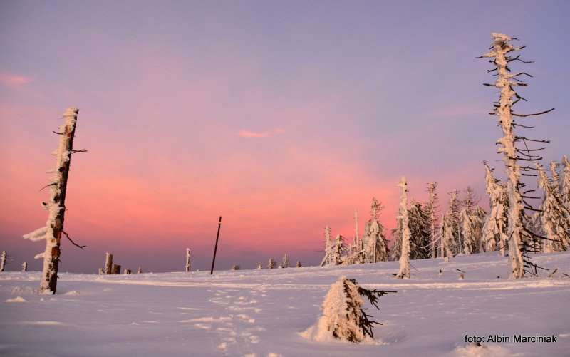 Szlak na Turbacz (1310 m n.p.m.) — najwyższy szczyt Gorców