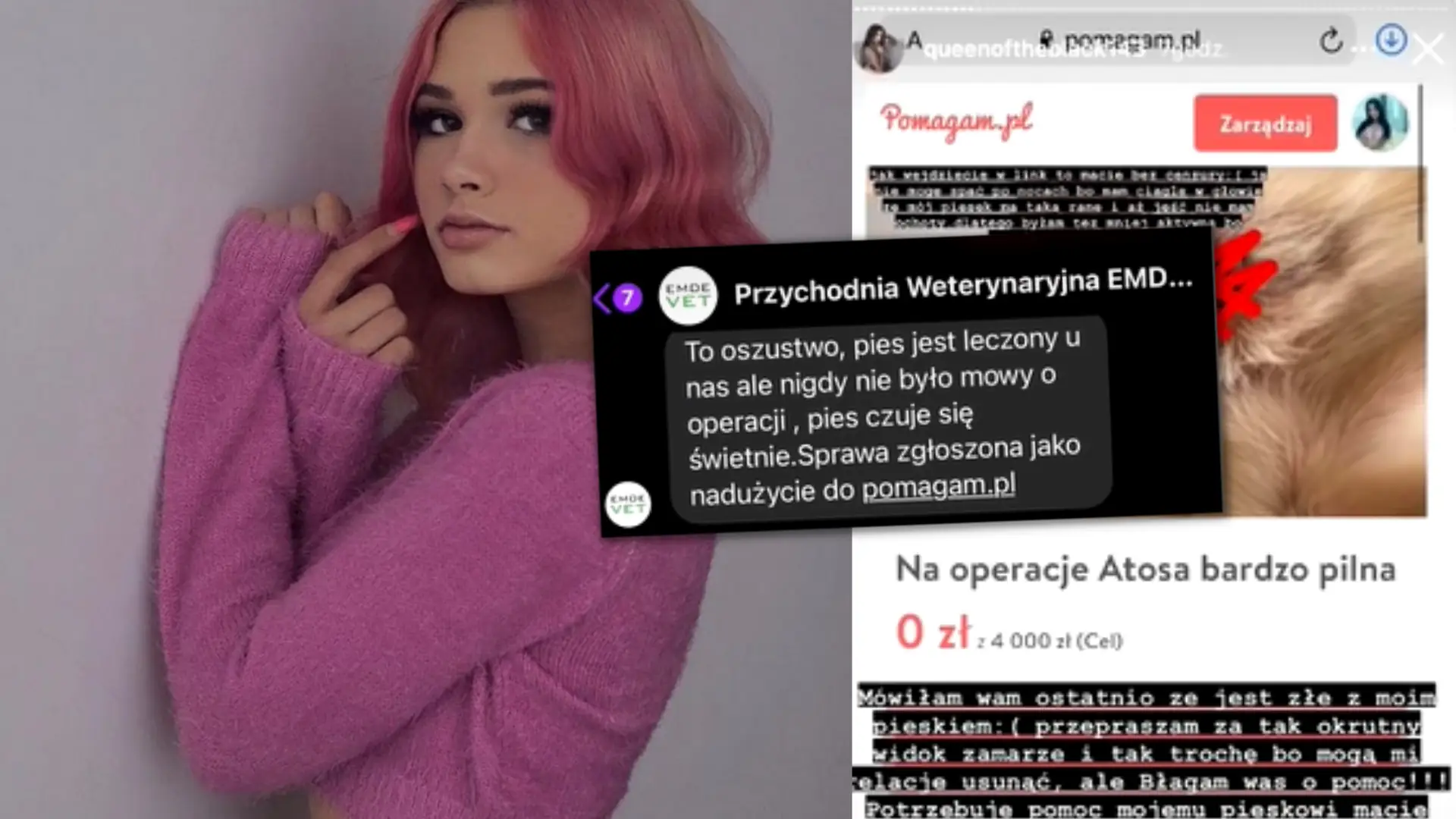 Influencerka wyłudziła pieniądze od fanów? Mówiła, że zbiera na operację psa