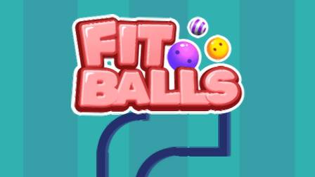 Fit Balls