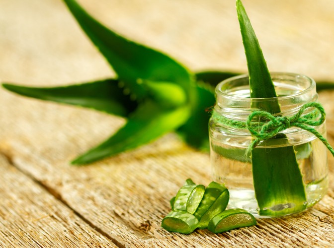Aloes zapobiega nowotworom