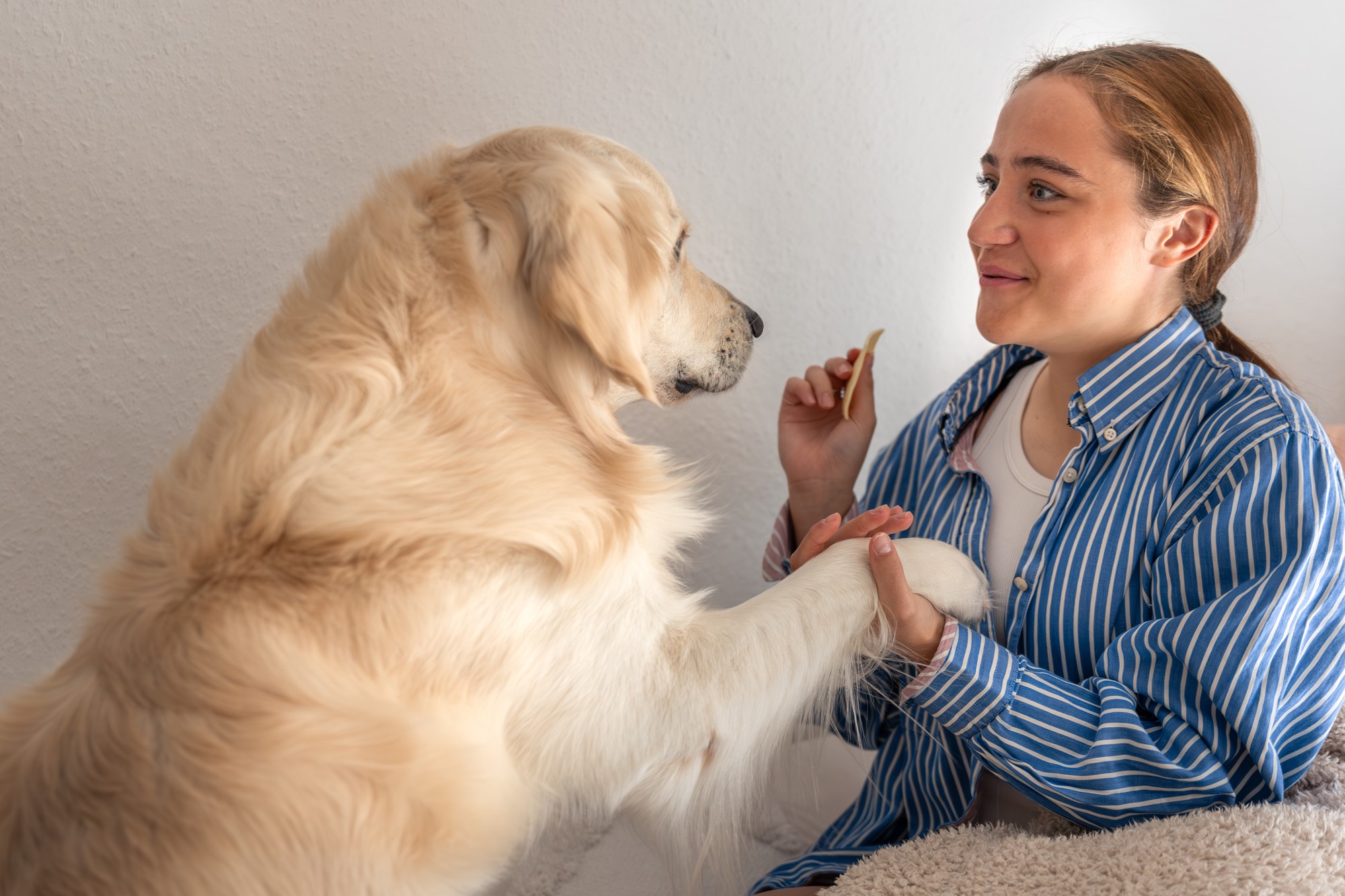 Praktická časť testu overuje, či majiteľ dokáže bezpečne viesť psa a zvládnuť situácie v premávke či pri stretnutí s ľuďmi a inými psami.