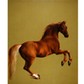 Whistlejacket, George Stubbs.