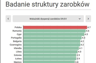 Polska ma największe w UE dysproporcje dochodów [INFOGRAFIKA]