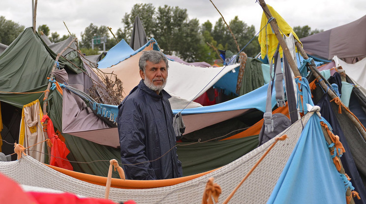 Migránsok a szerb-magyar határ közelében kialakított táborban / Fotó: MTI-Molnár Edvárd