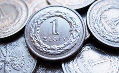 Te monety z PRL-u są warte fortunę! Sprawdź, czy nie masz ich w domu
