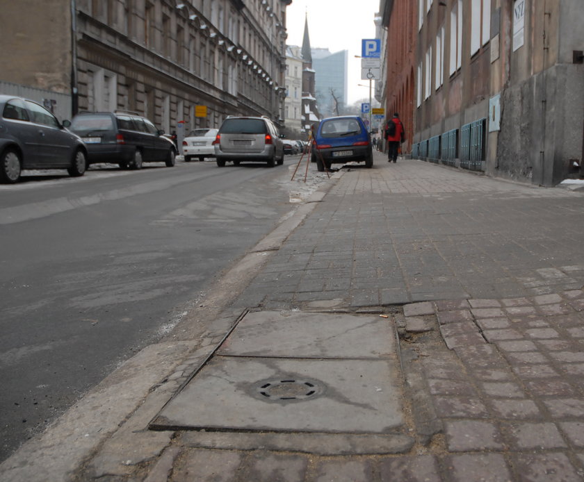 Agresywne zwierzę atakowało ludzi w centrum Poznania