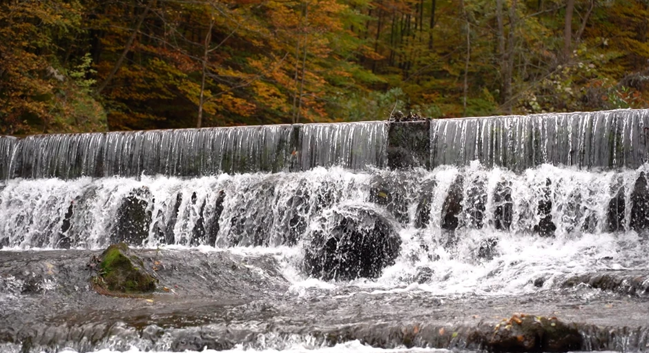 Era Ojdanić, emisija "Metar moga sela"