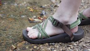 Die beliebtesten Outdoor-Sandalen für Damen im Vergleich