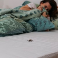 Összeesett a nő a hálószobájában, miután meglátott egy pókot - kiderült, agydaganata van