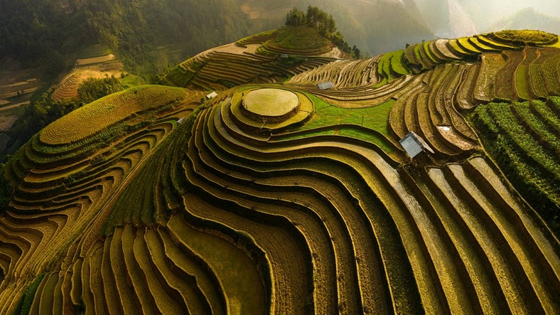 Tarasy ryżowe w Banaue, Filipiny