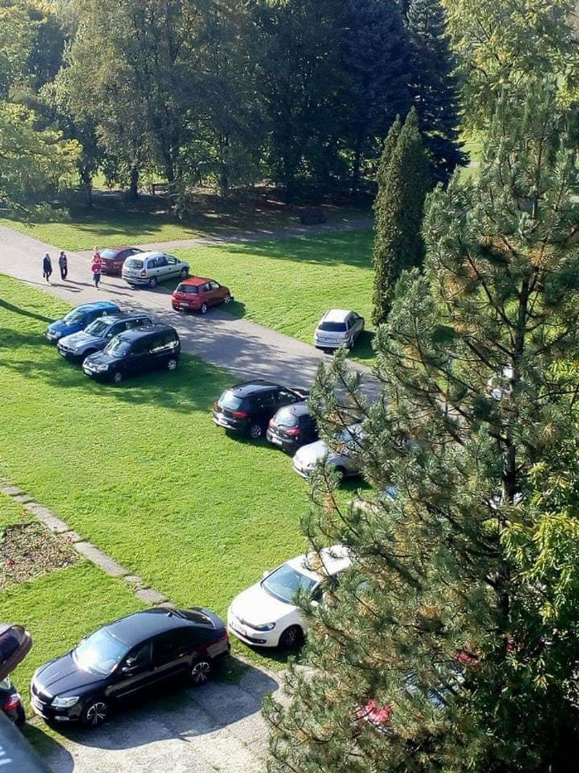 Katowice. Park Śląski stratowany przez parkujące samochody