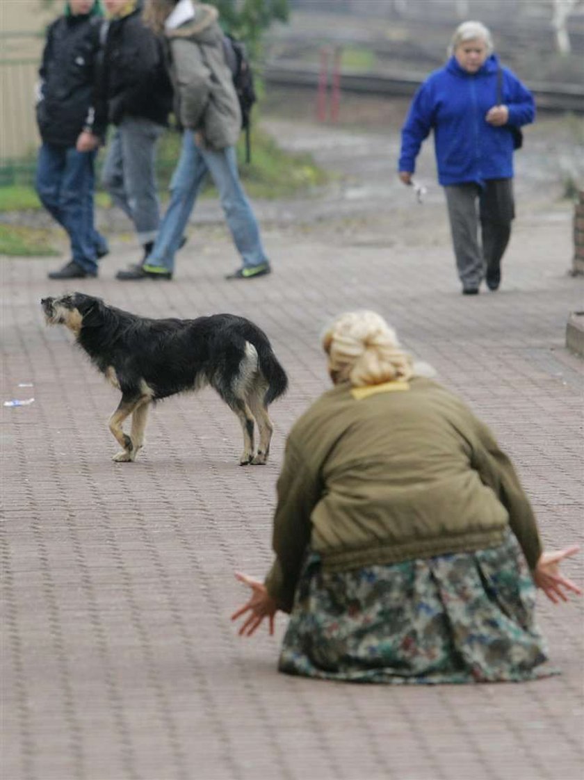 Pies na dworcu czeka na pana