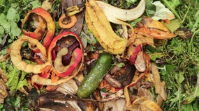 Ulga za kompostownik nie tylko dla segregujących śmieci