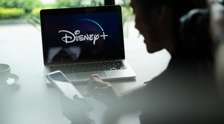 Hét olyan filmet is azonosított a Nemzeti Média- és Hírközlési Hatóság (NMHH) Médiatanácsa a Disney+ streamingszolgáltató kínálatában, amelynek korhatár-besorolása nem felelt meg a kiskorúak védelmével kapcsolatos hazai szabályozásnak/ Fotó: Northfoto