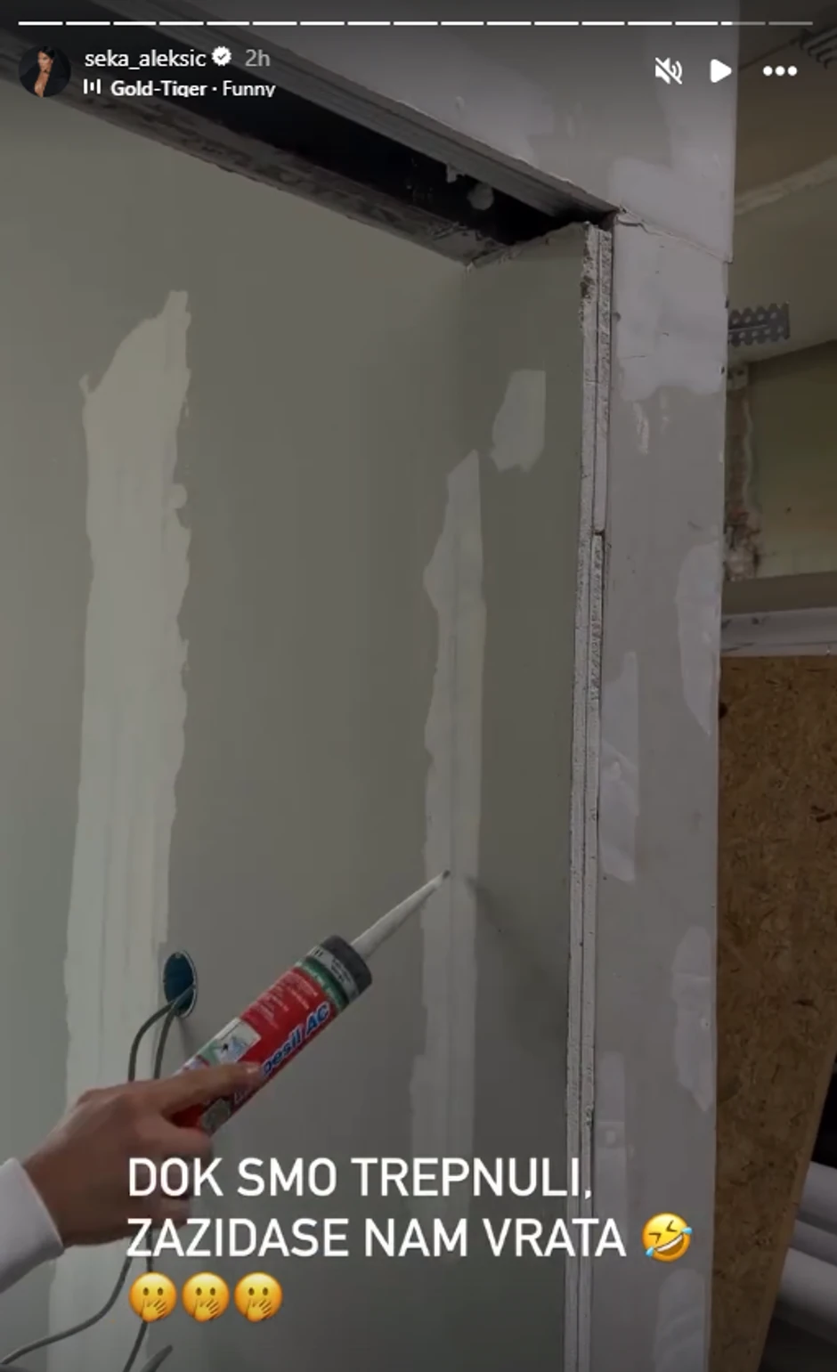 Seka Aleksić, objava