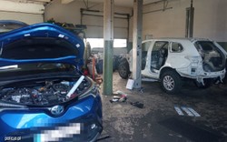 "Kobra" ugryzła złodziei samochodów! Tak wygląda dziupla przestępców