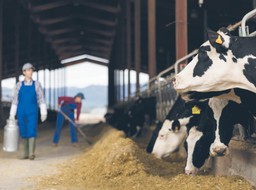 W ciągu 20 lat w UE produkcja rolna wzrosła trzykrotnie