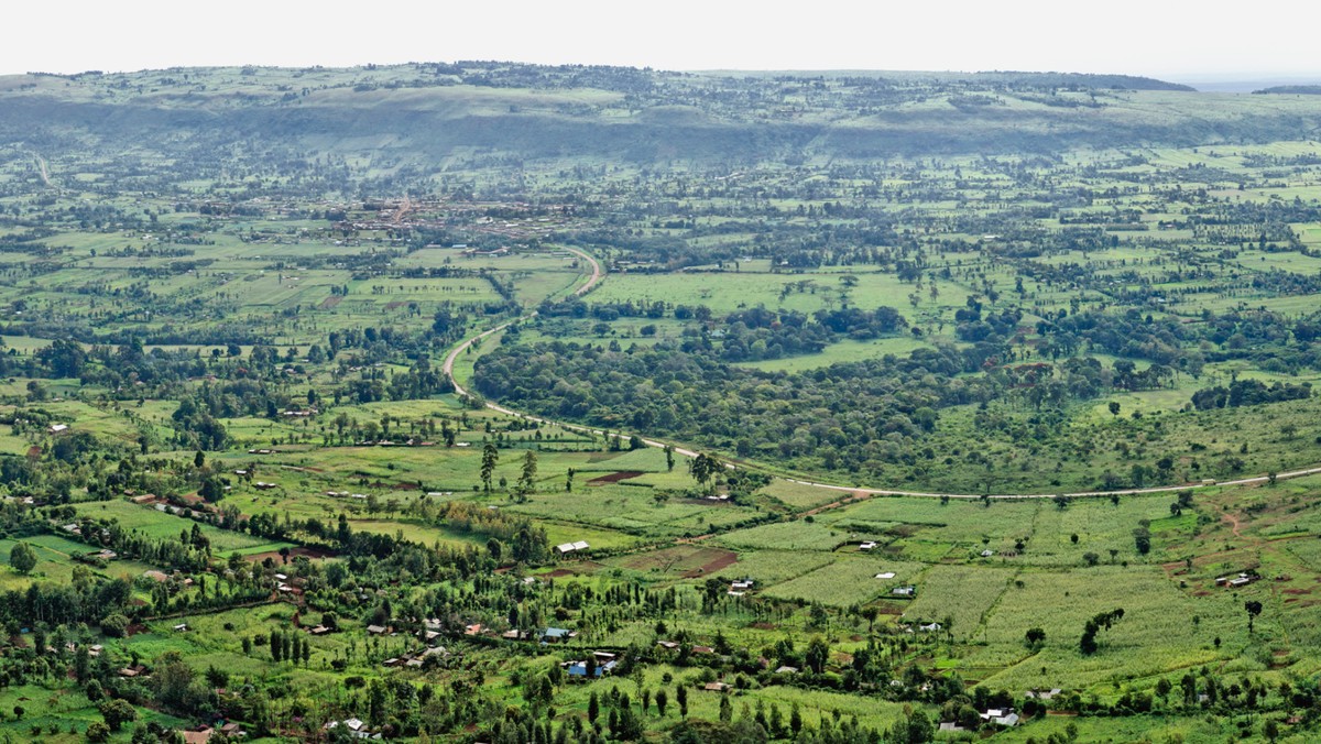 Jak połączyć urlop z regularnymi treningami? Na przykład wybierając się na obóz treningowy do prowincji Great Rift Valley w Kenii, skąd pochodzą najlepsi maratończycy na świecie.