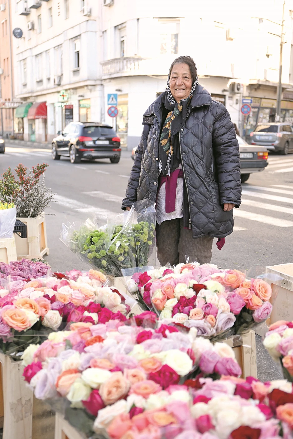 Komšinica Ane Stanić