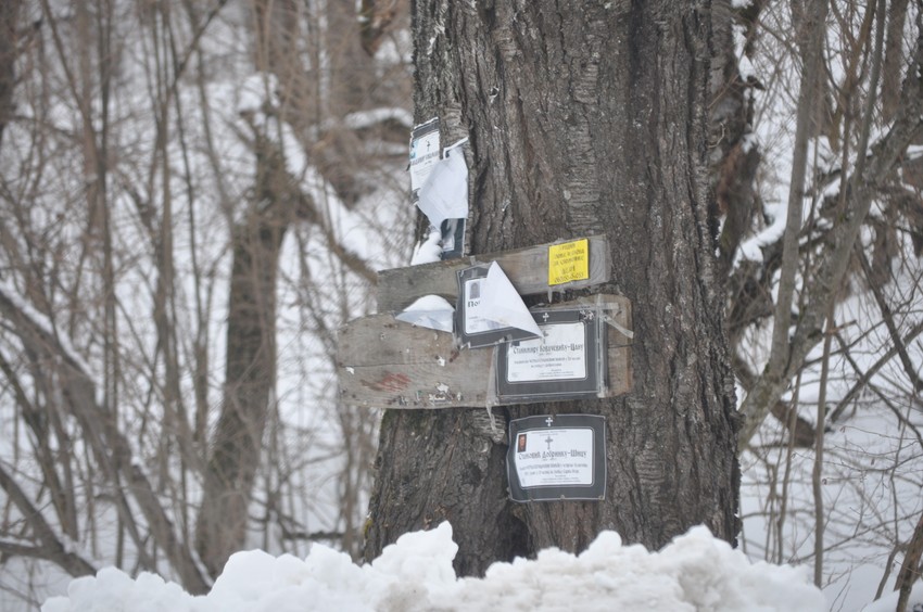 Sreten za godinu dana izbrojao 40 sahrana u selu