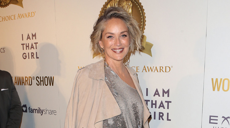 Így táncolt Sharon Stone a szexi fotózás közben/Fotó: Northfoto