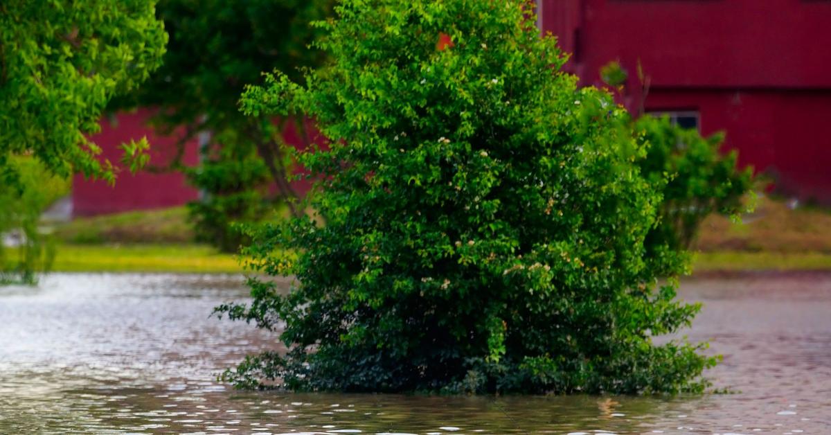 Flood in Kałków: Car stuck, driver rescued in dramatic circumstances