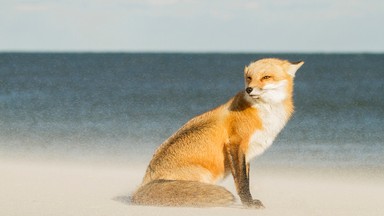 Zwycięzcy Travel Photographer of the Year 2016 - najlepsze zdjęcia podróżnicze