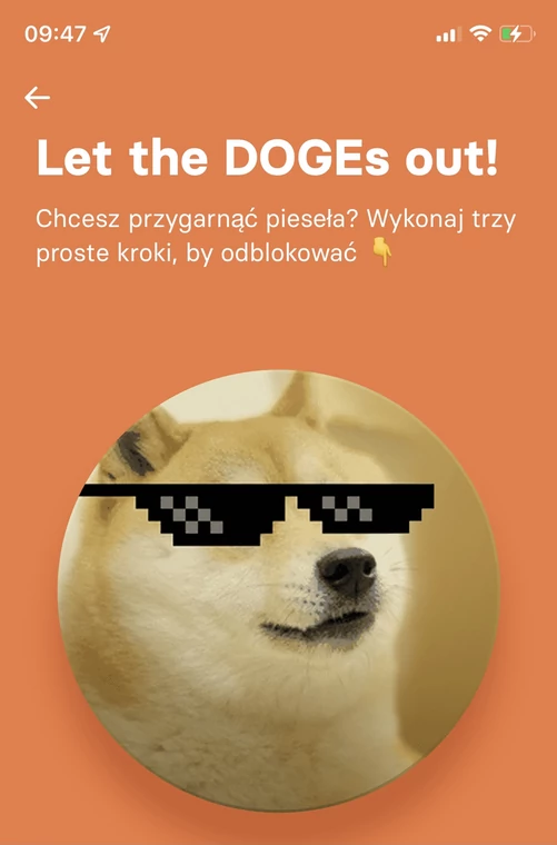 Dogecoin w aplikacji Revolut