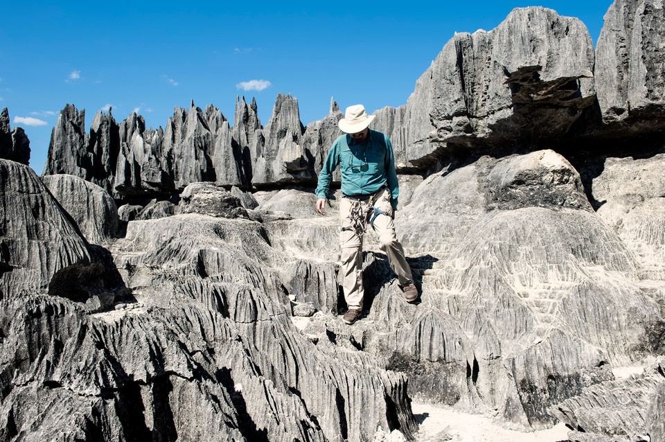 Tsingy de Bemaraha (Kamienny Las), Madagaskar